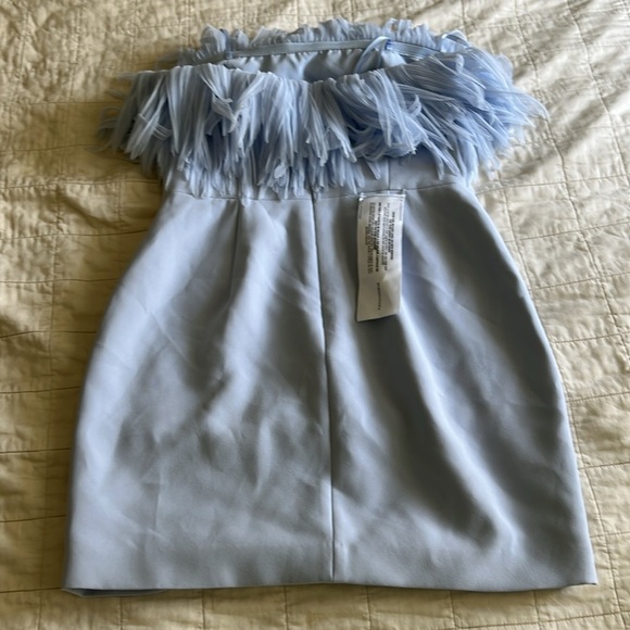 BCBGMaxazria Light Blue Dress with Fringe Detail - Picture 5 of 9